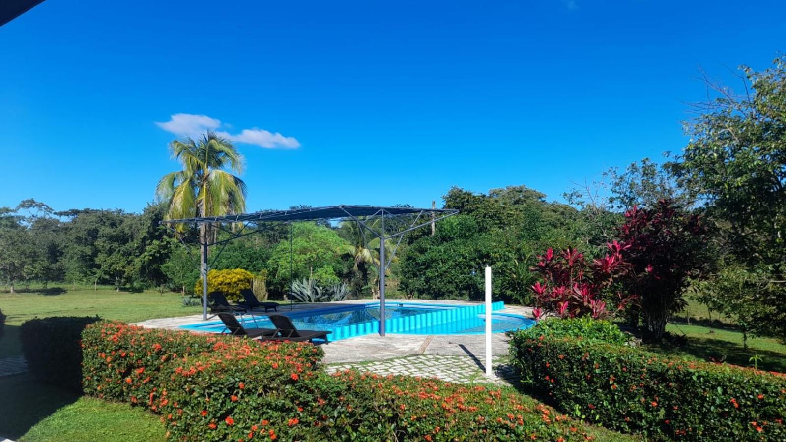Hotel Los Leones Palenque Zewnętrze zdjęcie