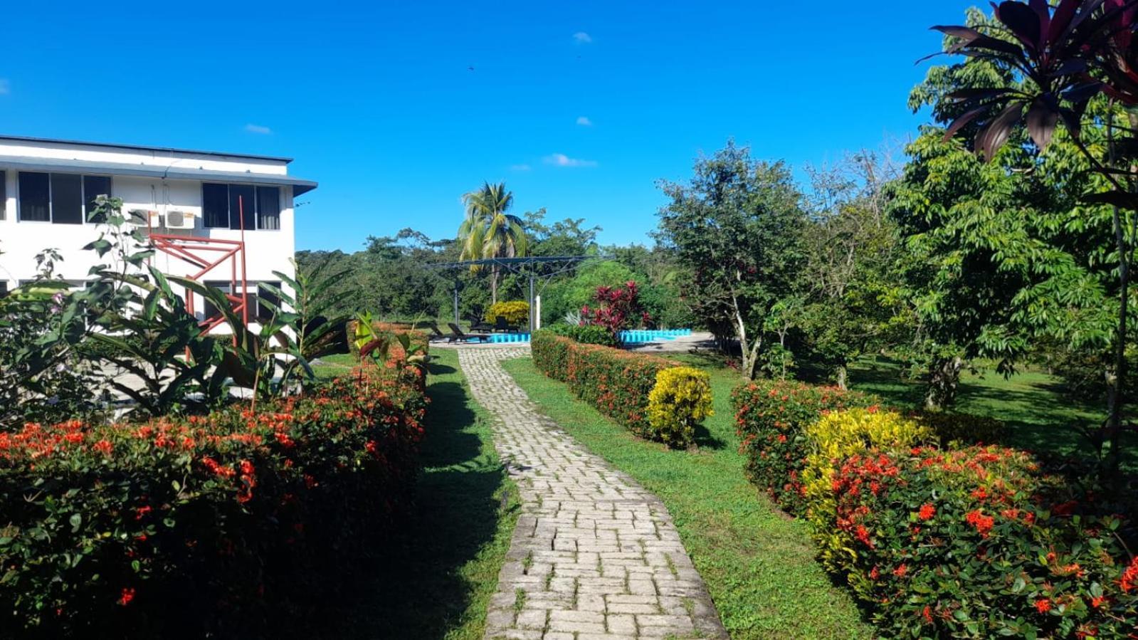 Hotel Los Leones Palenque Zewnętrze zdjęcie